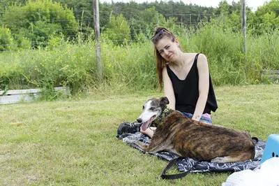 Dogs Friends - szkoła dla psów